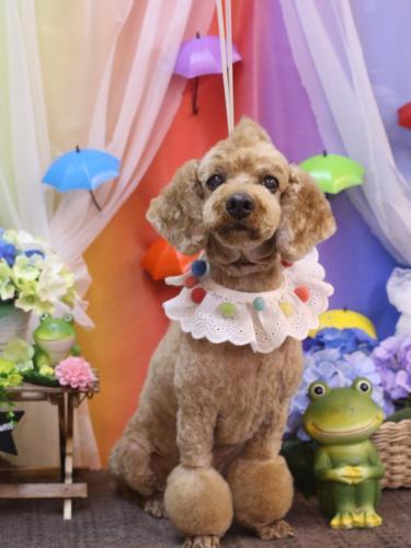 20230615ノンくん